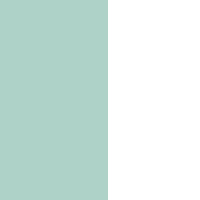 bg-mintgreen-white